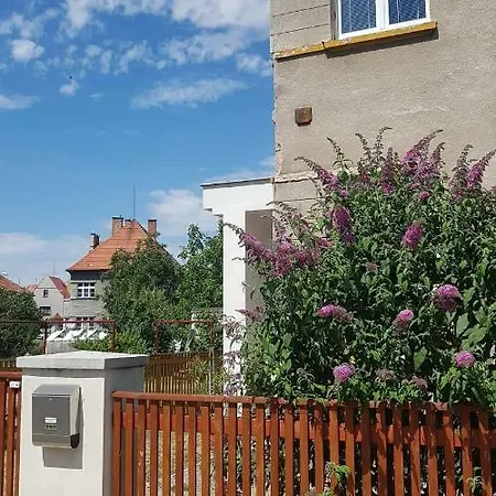 Penzion Flora Zatec  Exterior photo