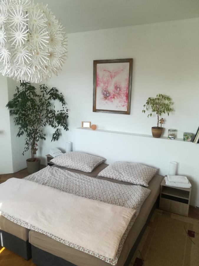 Flora Apartment
